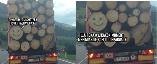 Забавные картинки