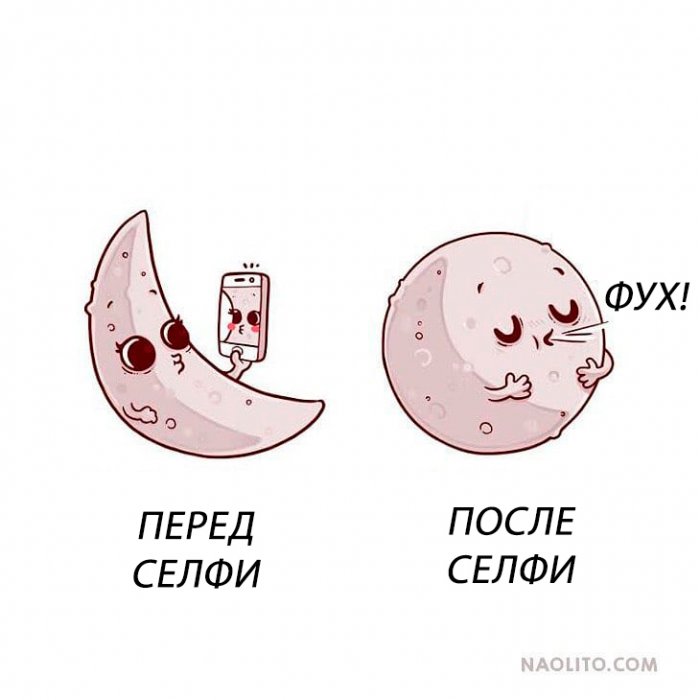 Забавные картинки