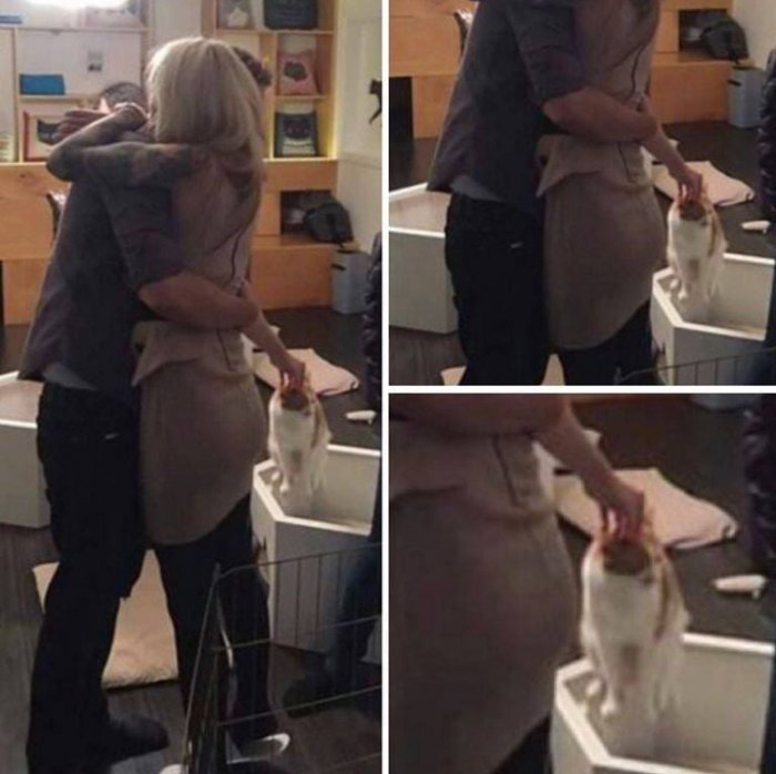 Забавные картинки