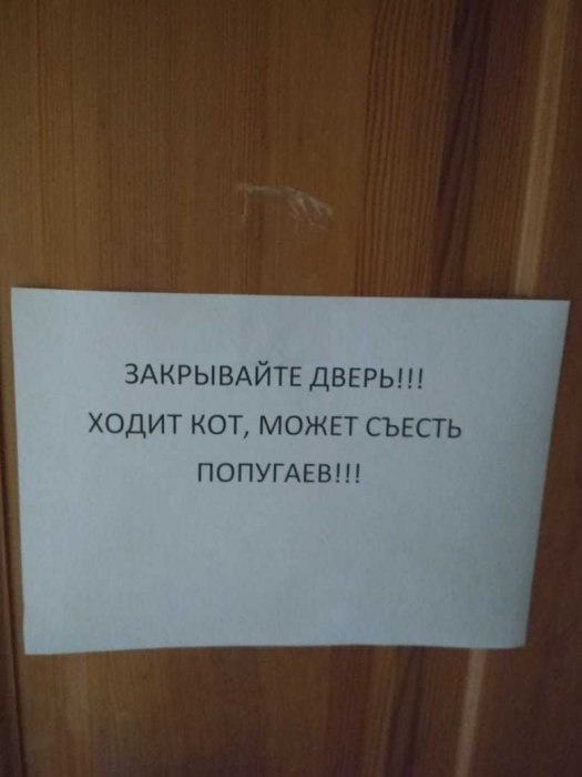 Забавные картинки