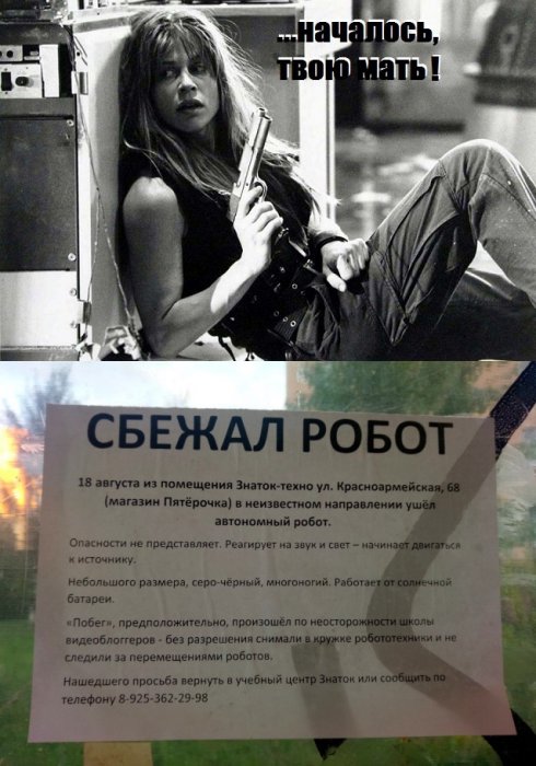 Забавные картинки