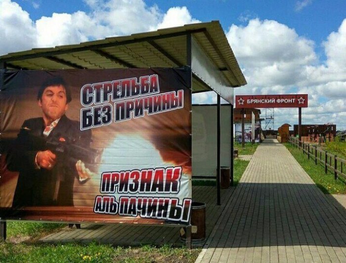 Забавные картинки