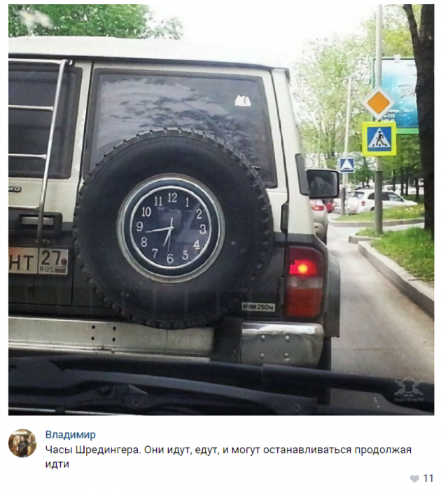 Забавные картинки