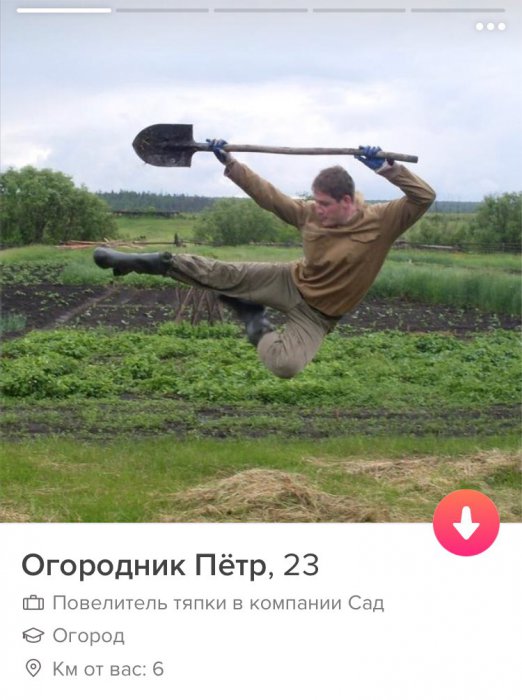 Забавные картинки