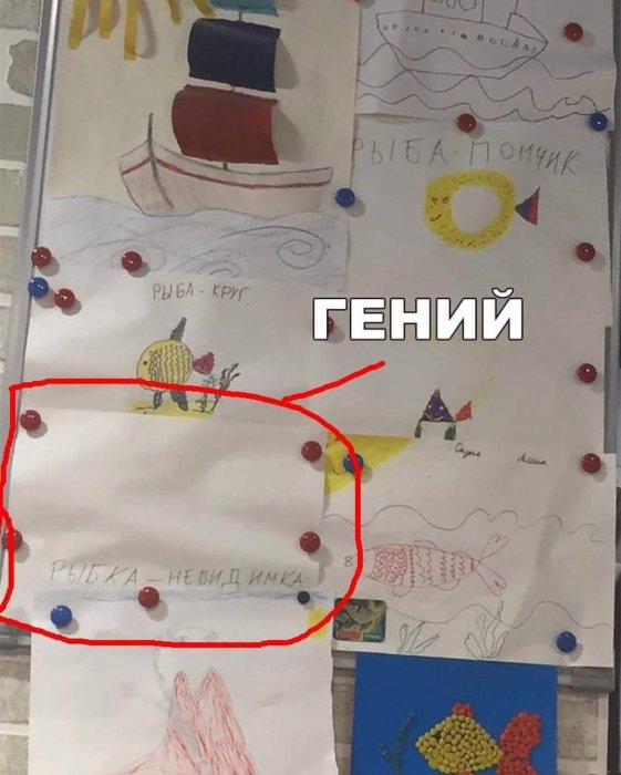 Забавные картинки