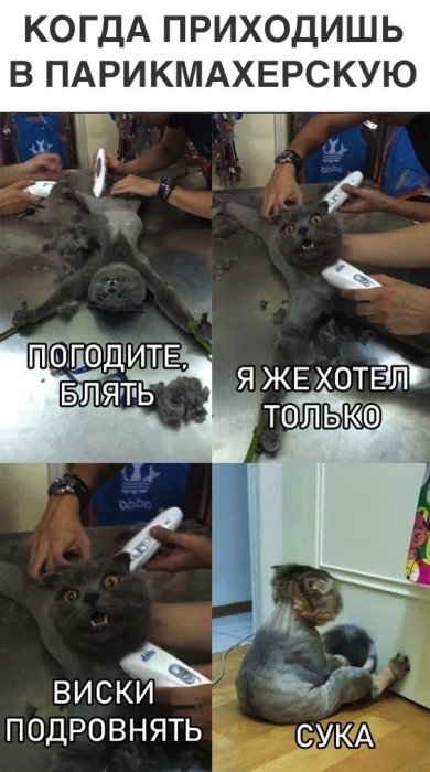 Забавные картинки