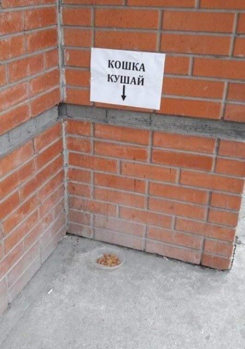 Забавные картинки
