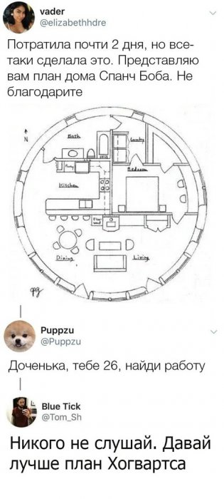 Забавные картинки