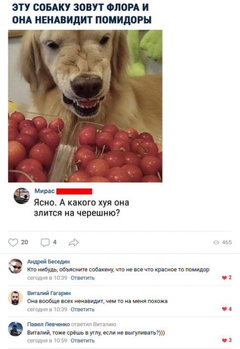 Забавные картинки