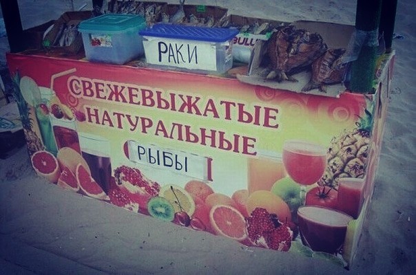 Забавные картинки