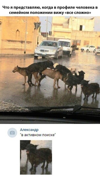 Забавные картинки