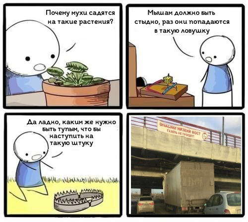 Забавные картинки
