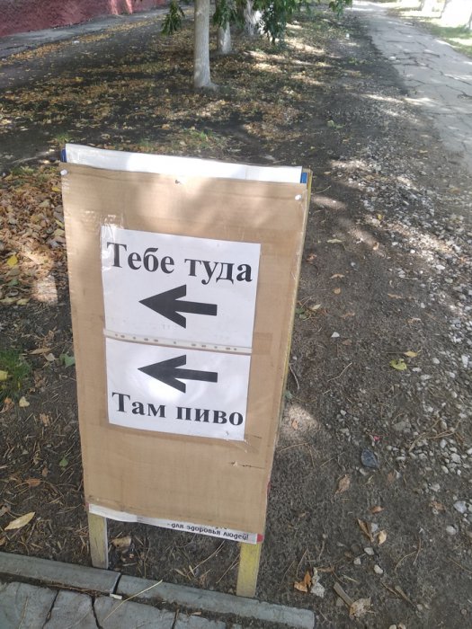 Забавные картинки
