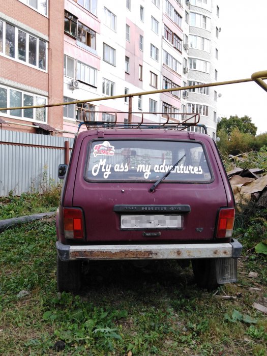Забавные картинки