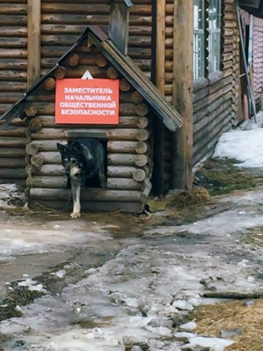 Забавные картинки