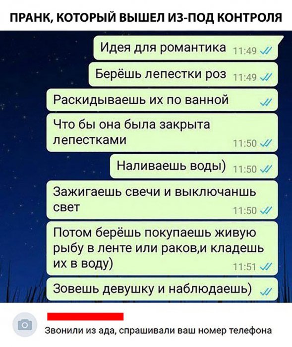 Забавные картинки