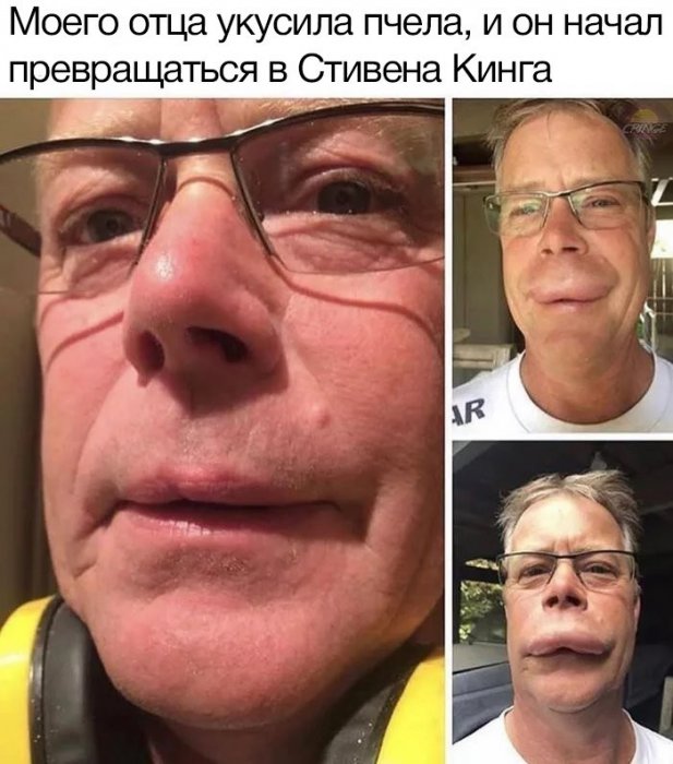 Забавные картинки