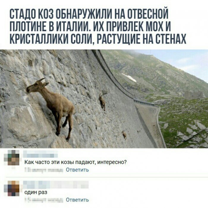 Забавные картинки