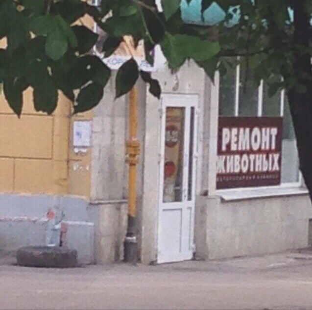 Забавные картинки