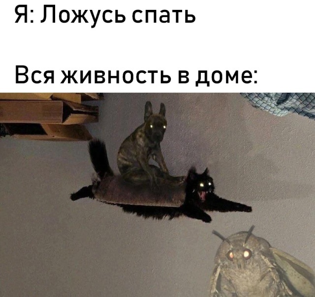 Забавные картинки