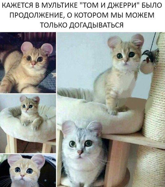 Забавные картинки
