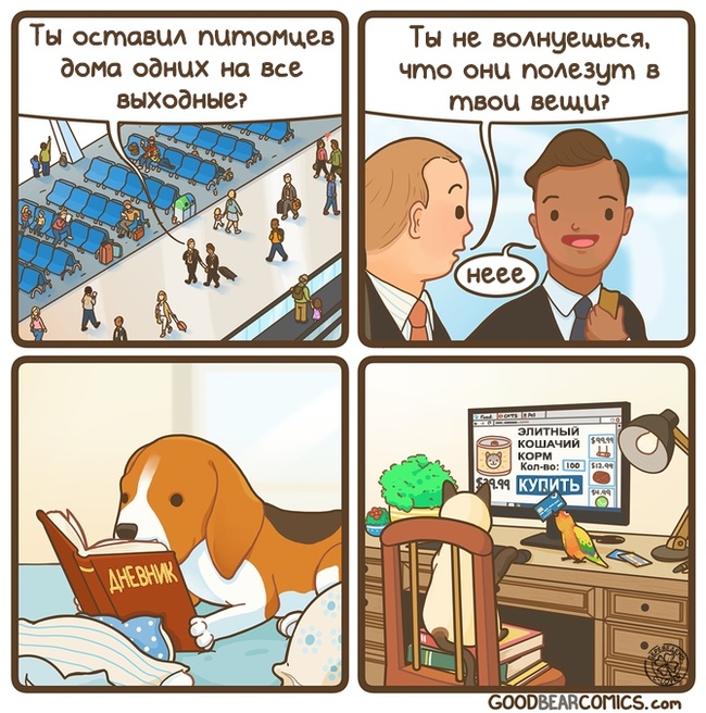 Забавные картинки