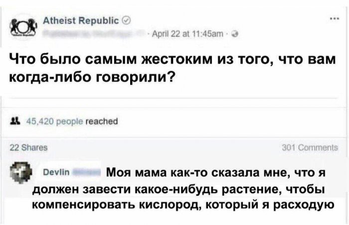 Забавные картинки