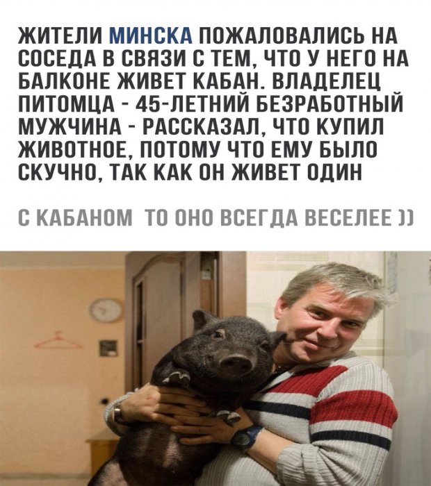 Забавные картинки