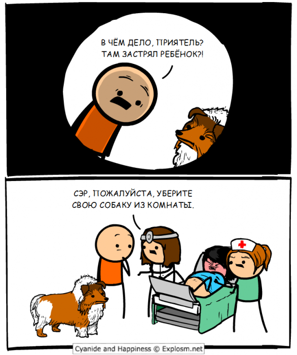 Забавные картинки