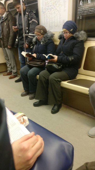 Забавные картинки