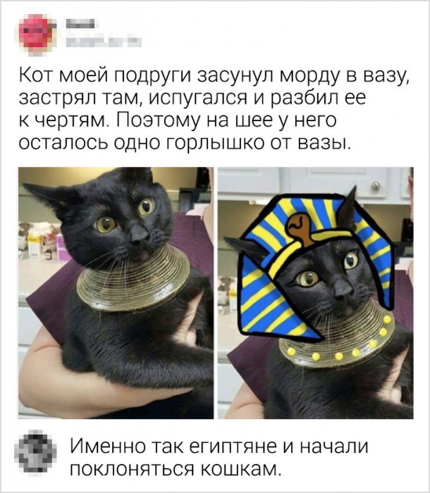 Забавные картинки