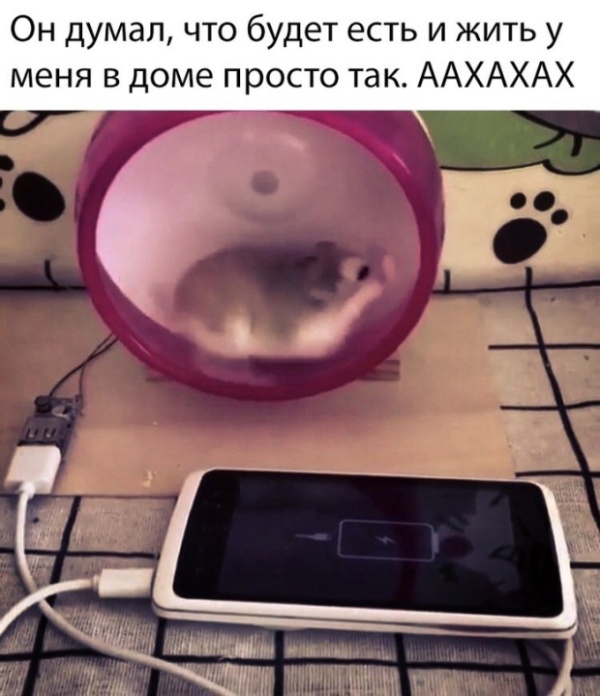 Прикольные картинки