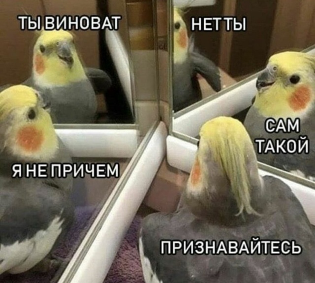 Прикольные картинки