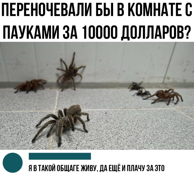 Прикольные картинки
