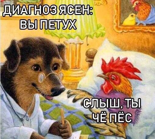 Забавные картинки