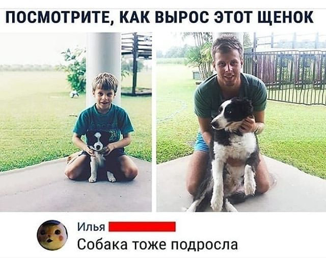 Забавные картинки