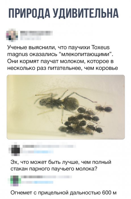 Забавные картинки