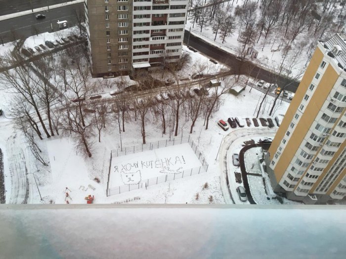 Забавные картинки