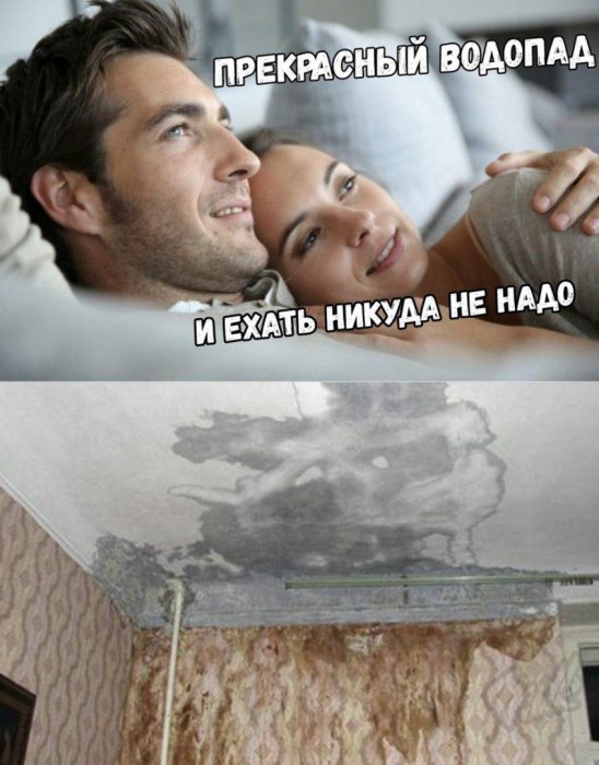 Забавные картинки