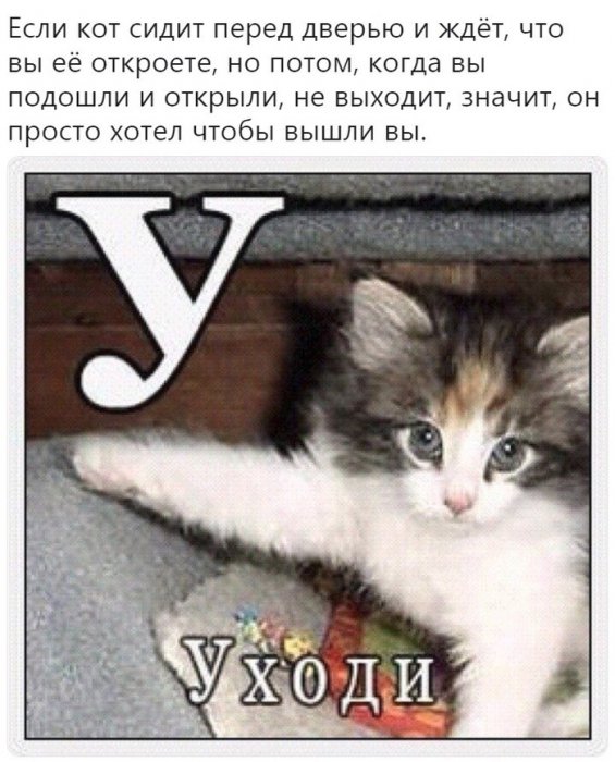 Забавные картинки