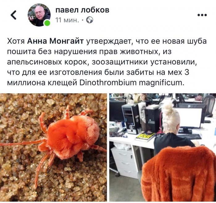 Забавные картинки