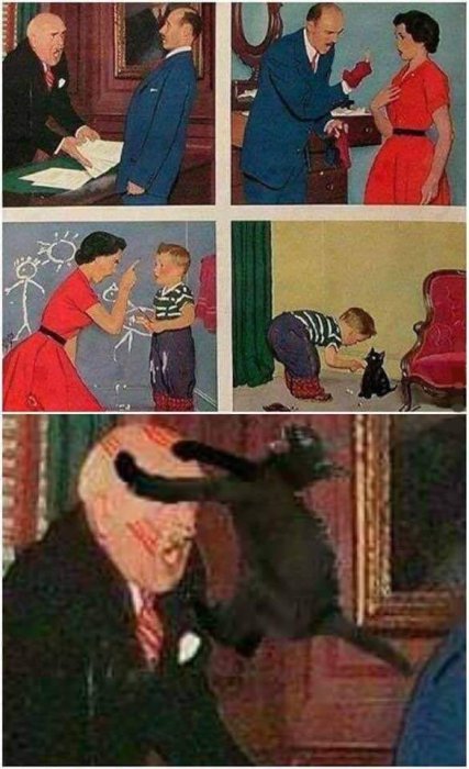 Забавные картинки