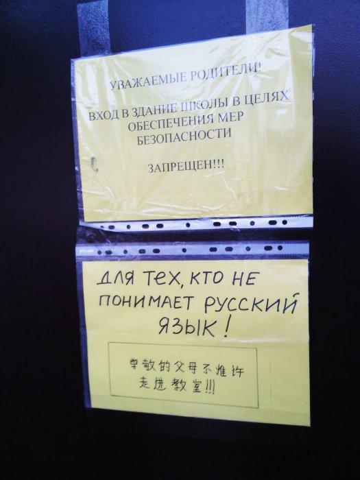 Забавные картинки