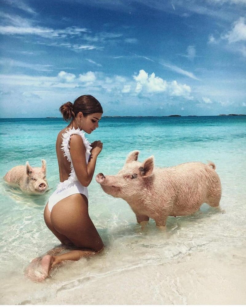 Как проводят зимние каникулы богатые детки из Instagram