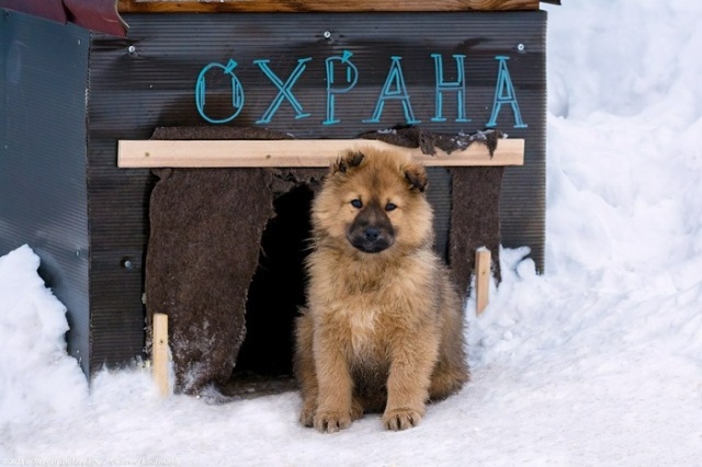 Прикольные картинки
