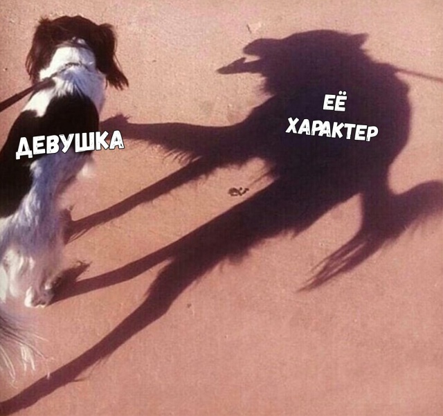 Прикольные картинки