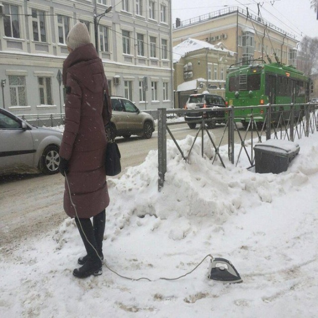 Прикольные картинки
