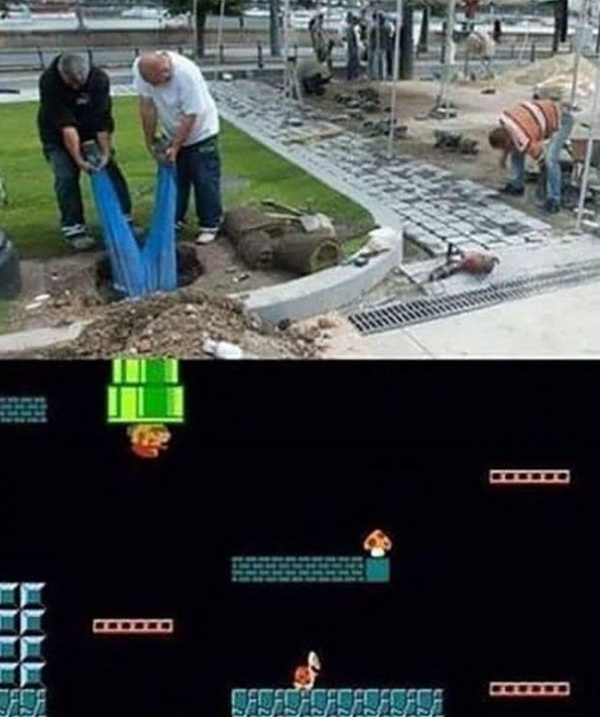 Прикольные картинки
