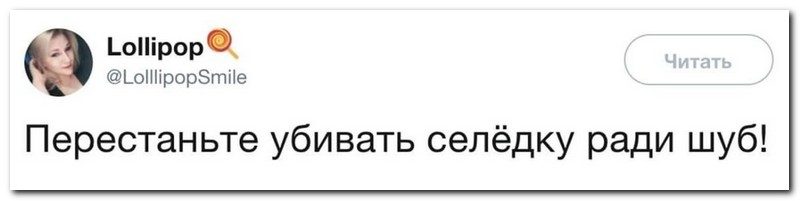 Забавные комментарии из социальных сетей