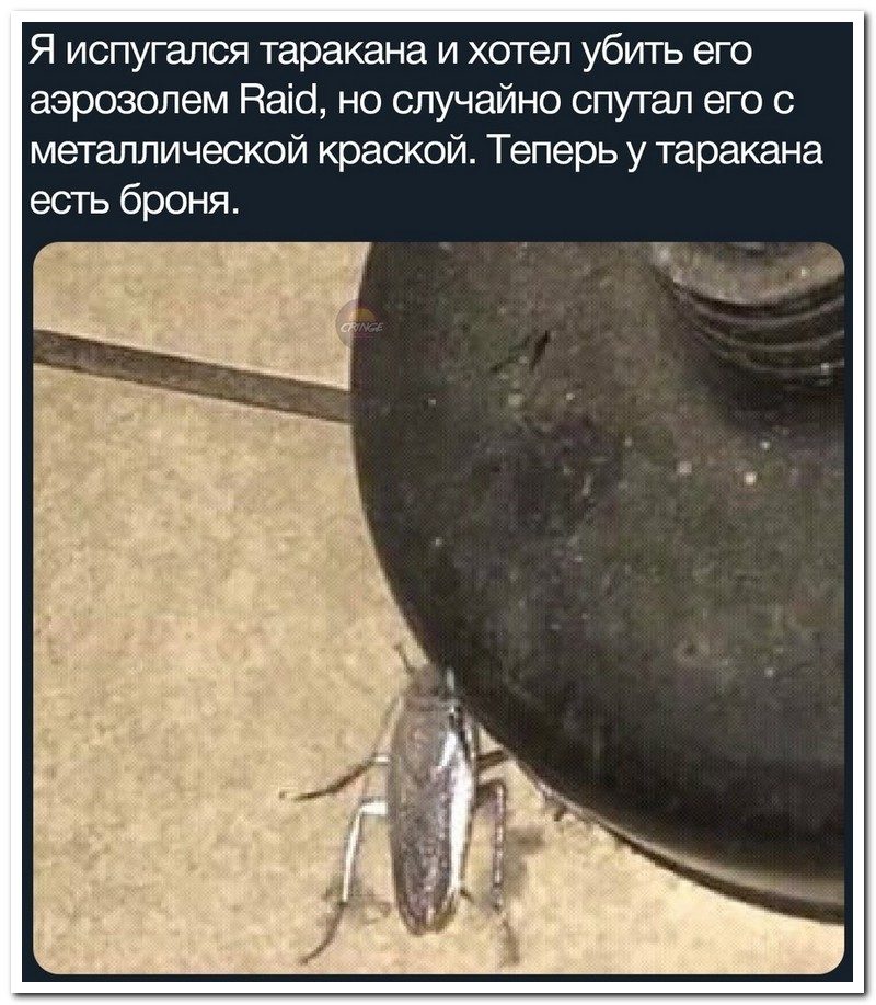 Забавные комментарии из социальных сетей